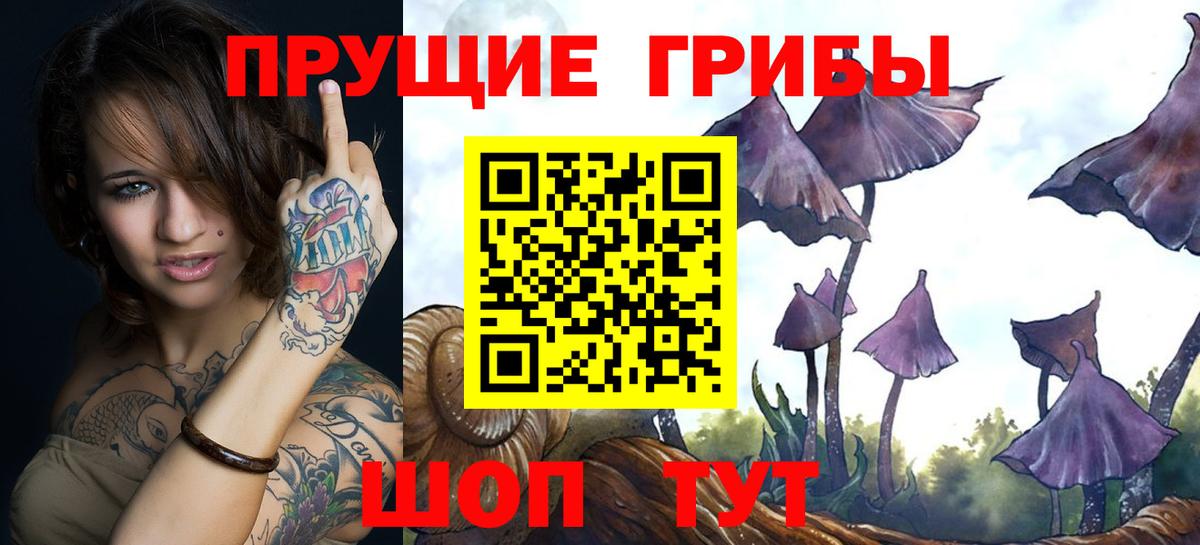 Воркута  Псилоцибиновые грибы MAGIC MUSHROOMS  Вход с VPN  где купить наркотик  Псилоцибиновые грибы ЛСД 
